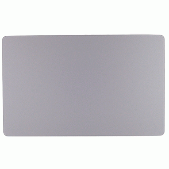 GENUINE Trackpad (Touchpad) w/ Screws w/ Flexures, Space Gray A2141